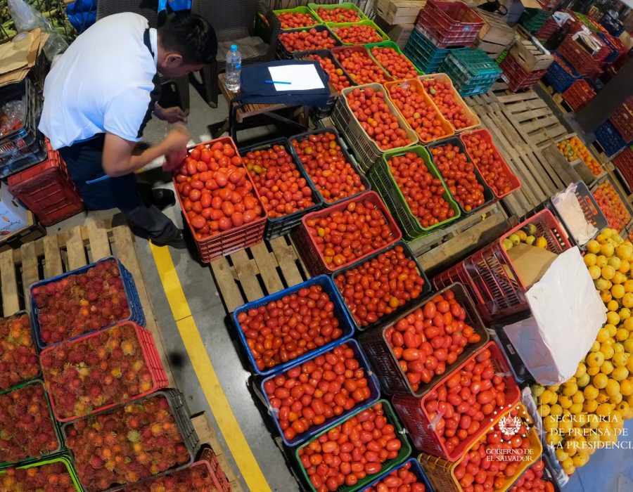 MERCADO